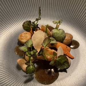 Huberwirt Gebeiztes Reh & Krebserl